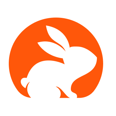 Code Rabbit